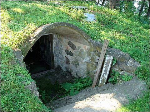  - Dwór Giedrojców. Piwnica