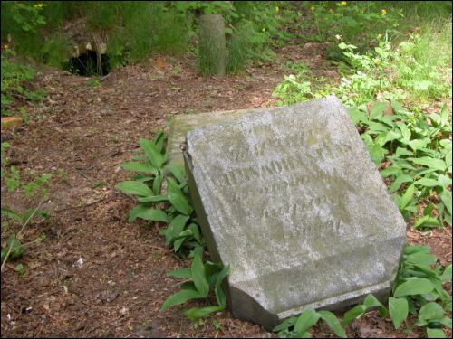 Moładava. The tomb of Skirmunt