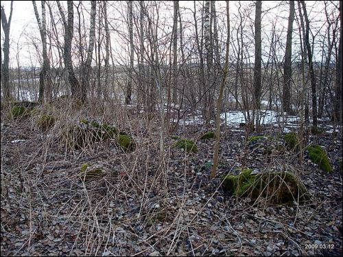 Maišiagala. Soldierly (WWI) Cemetery 