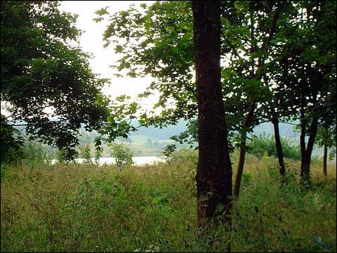 Nemėžis. Estate of Tyszkiewicz
