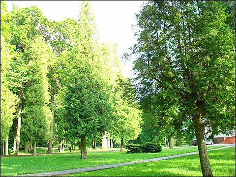 - Manor of Piłsudski. 