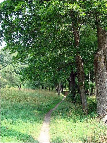  - Manor of Bochwic. 