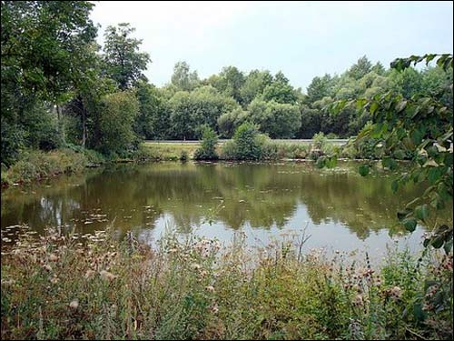  - Manor of Bochwic. 