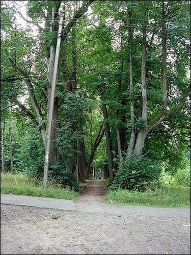  - Manor of Bochwic. 