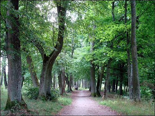 - Manor of Bochwic. 