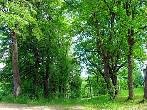 Sudervė. Manor 