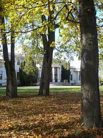 Waka. Zespół pałacowo-parkowy Tyszkiewiczów