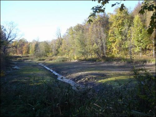 Waka. Zespół pałacowo-parkowy Tyszkiewiczów