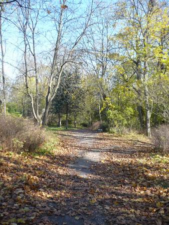 Waka. Zespół pałacowo-parkowy Tyszkiewiczów
