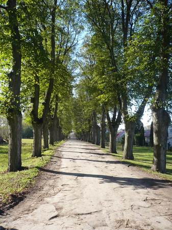 Waka. Zespół pałacowo-parkowy Tyszkiewiczów