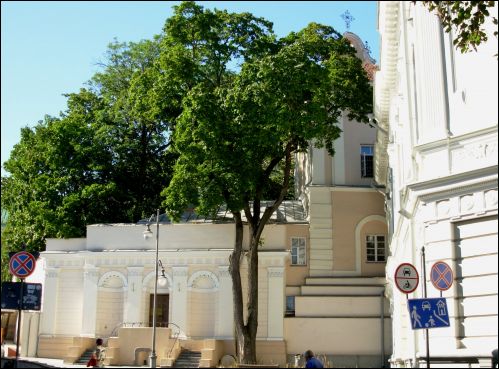 - Kościół Św. Jerzego i klasztor Karmelitów. Kościół od strony ulicy Mostowej, fragment (09 2007)