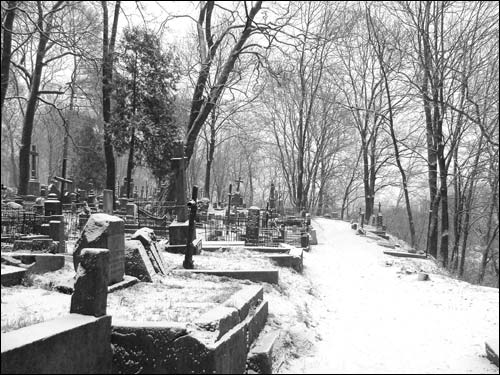 Wilno. Cmentarz Bernardyński