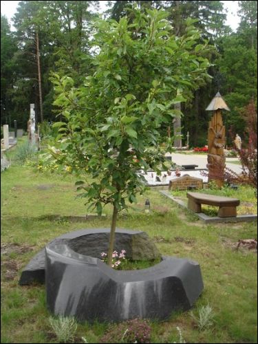 Wilno |  Cmentarz na Antokolu. Symboliczna mogiła z Drzewem Życia