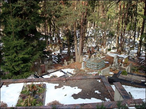  - cemetery Antokol. 