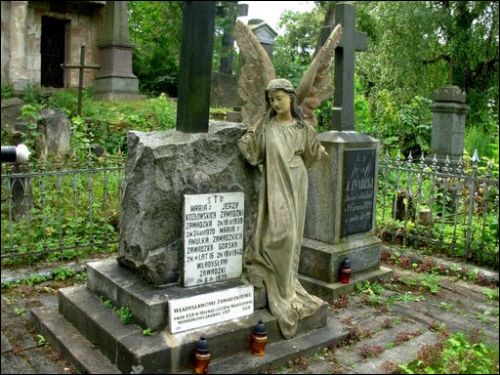  - Кладбище Петропавловское (Солнечное). 