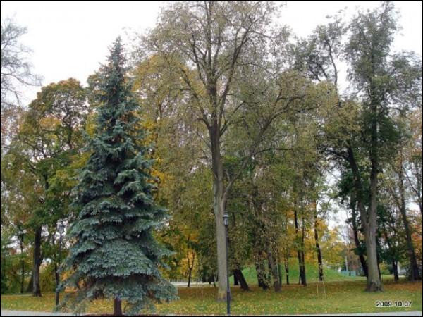  - Pałac Tuskulanum. 