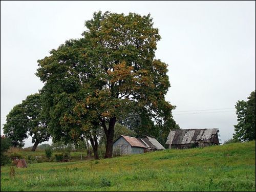  - Landscapes . 