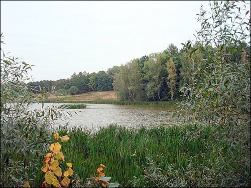  - Manor of Urubleŭski (Wróblewski). 
