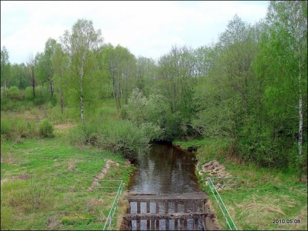  - Краявіды . 