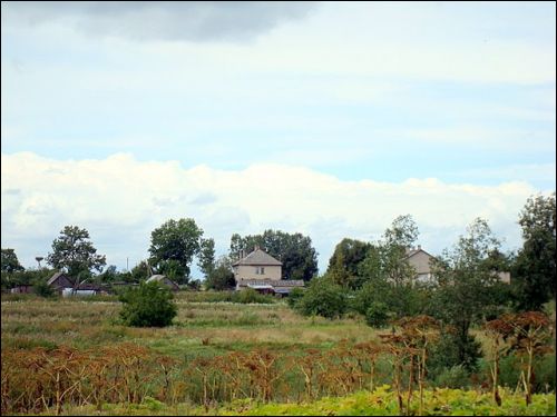  - Краявіды . 