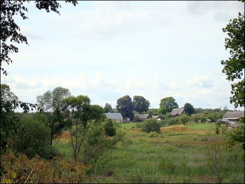  - Краявіды . 