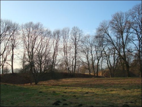  - Landscapes . 