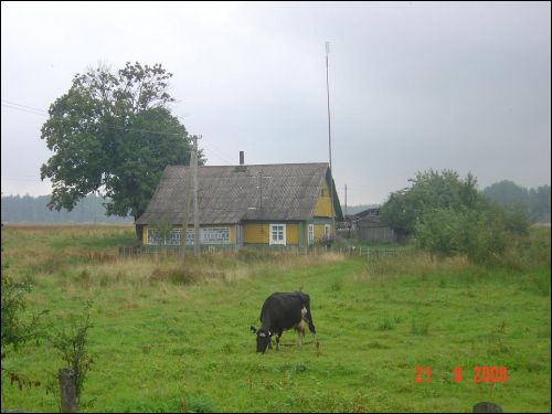 Ureliai. In the village 