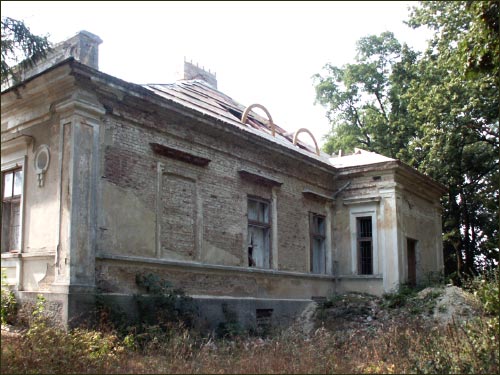 Hrymiača. Manor of Puzyna