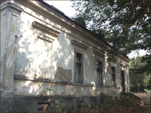 Hrymiača. Manor of Puzyna