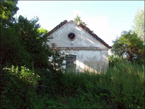 Hrymiača. Manor of Puzyna