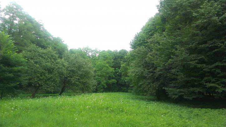 Hrymiača. Manor of Puzyna