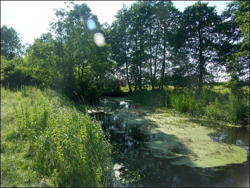 Hrymiača. Landscapes 