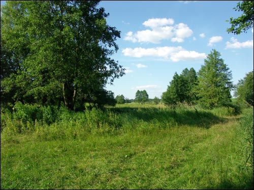 Hrymiača. Landscapes 