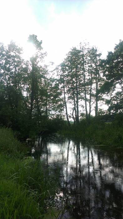 Hrymiača. Landscapes 