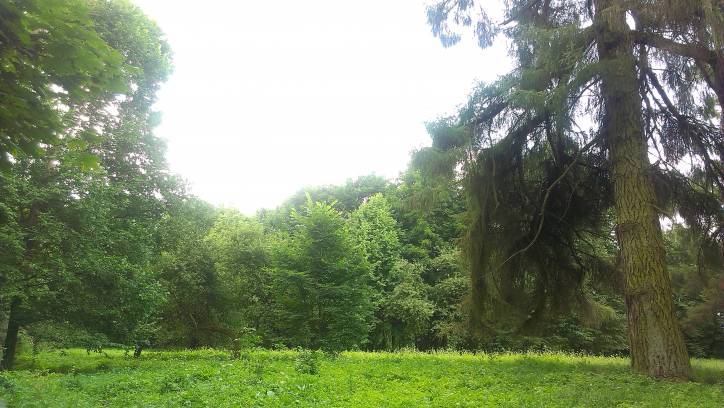 Hrymiača. Landscapes 