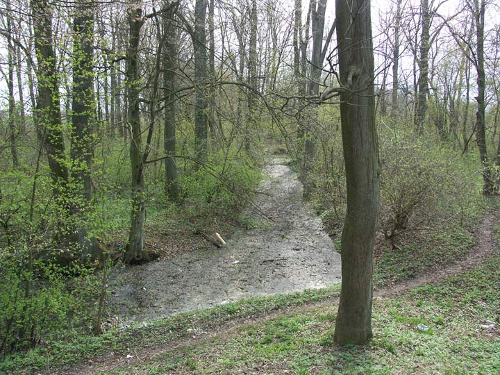 Pieramoha (Kapyły). Manor of Roth