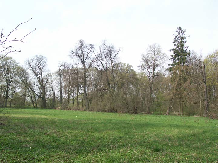 Pieramoha (Kapyły). Manor of Roth