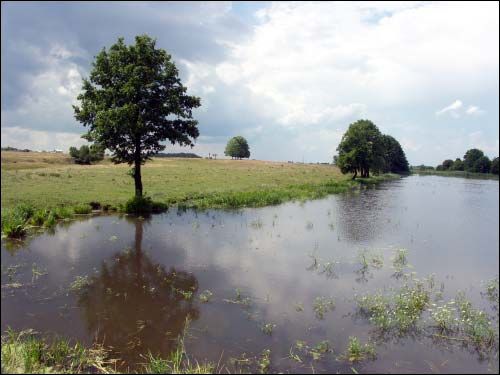 Minkavičy. Farmstead 