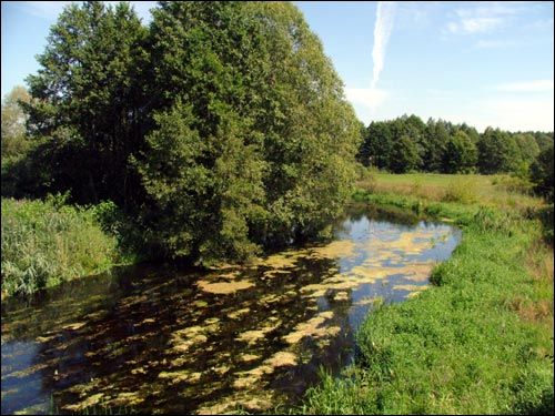 Muryny Małyja. Landscapes 