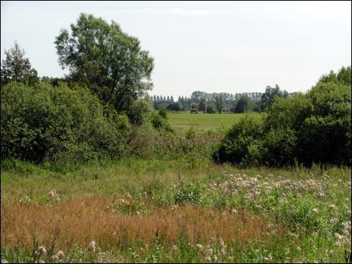 Muryny Małyja. Landscapes 