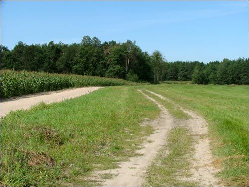 Muryny Małyja. Landscapes 