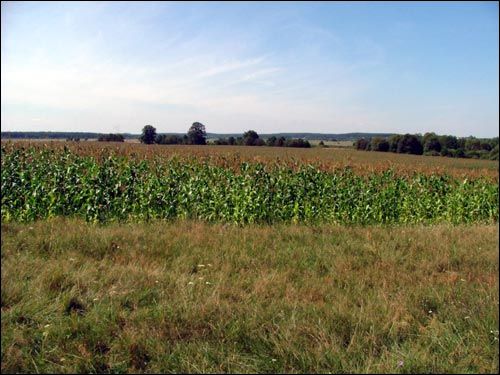 Muryny Małyja. Landscapes 