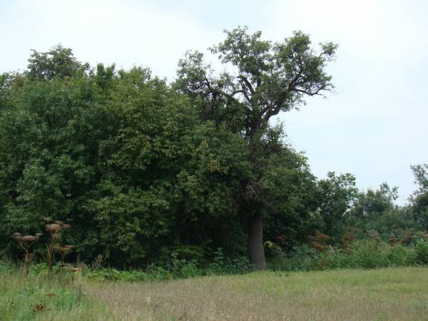 Charomcy. Manor