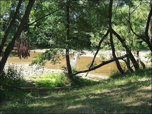 Stavy. In the village 