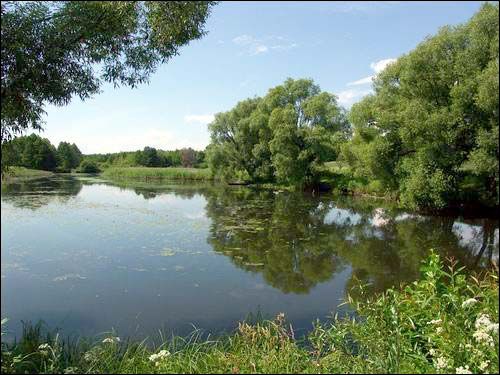 Świszczewo.  Park dworski Bylczyńskich