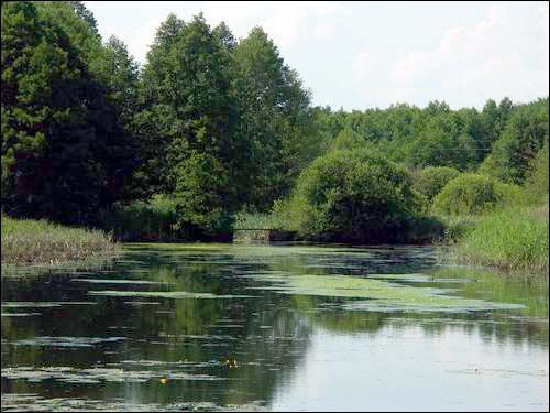 Свішчова. Прысядзібны парк пры былой сядзібе Быльчынскіх