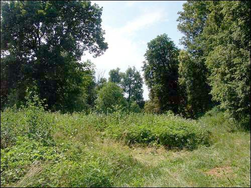 Свішчова. Прысядзібны парк пры былой сядзібе Быльчынскіх