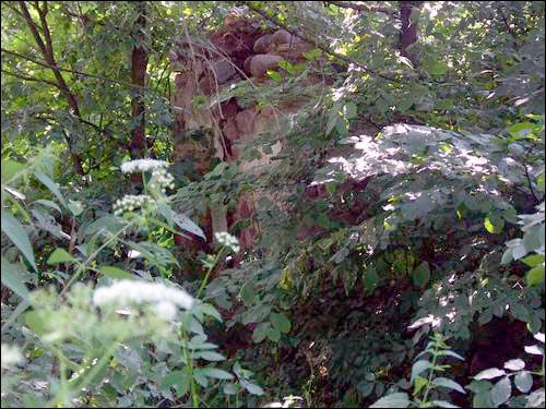 Świszczewo. Park dworski Bylczyńskich