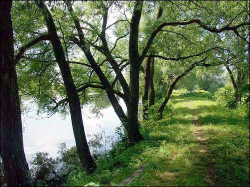 Свішчова. Прысядзібны парк пры былой сядзібе Быльчынскіх