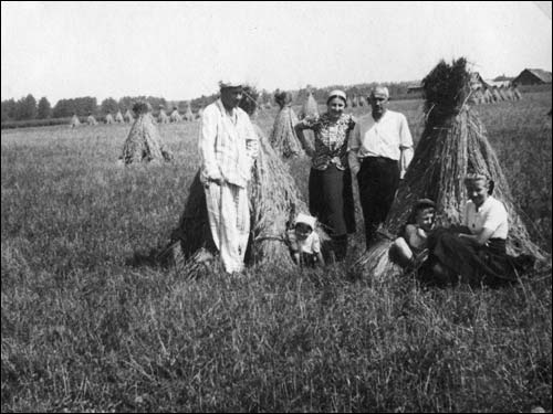  - Dwór Achmatowiczów. Żniwa